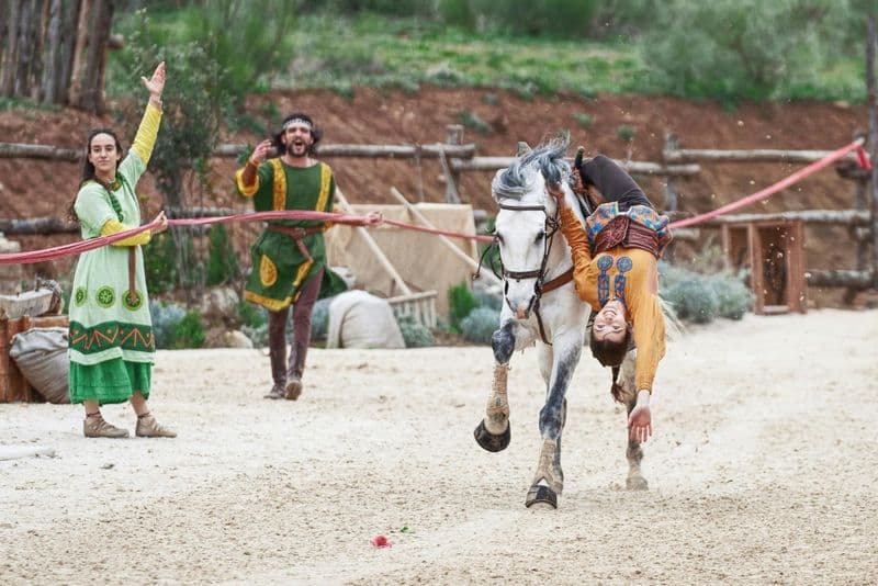 Billet Puy du Fou España : Accès au parc