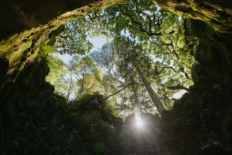 Billet Quinta da Regaleira : Billet coupe-file + Visite guidée