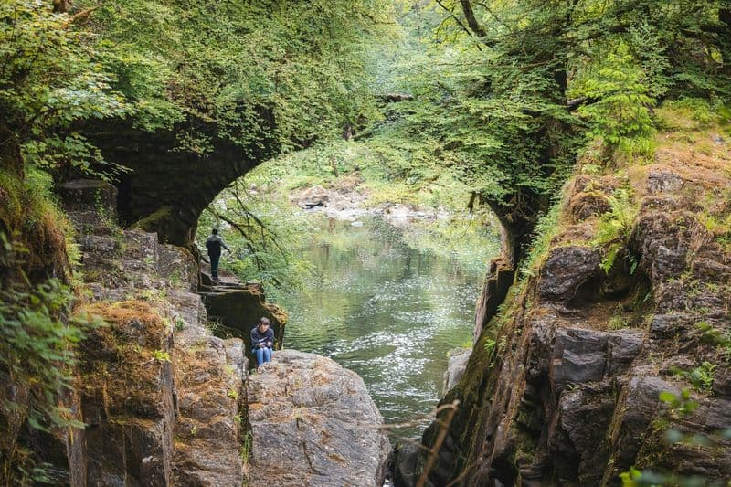 Billet Whisky et chutes d'eau, y compris visite de la distillerie