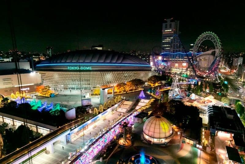 Billet Tokyo Dome City Attractions : Billet d'entrée pour 5 manèges