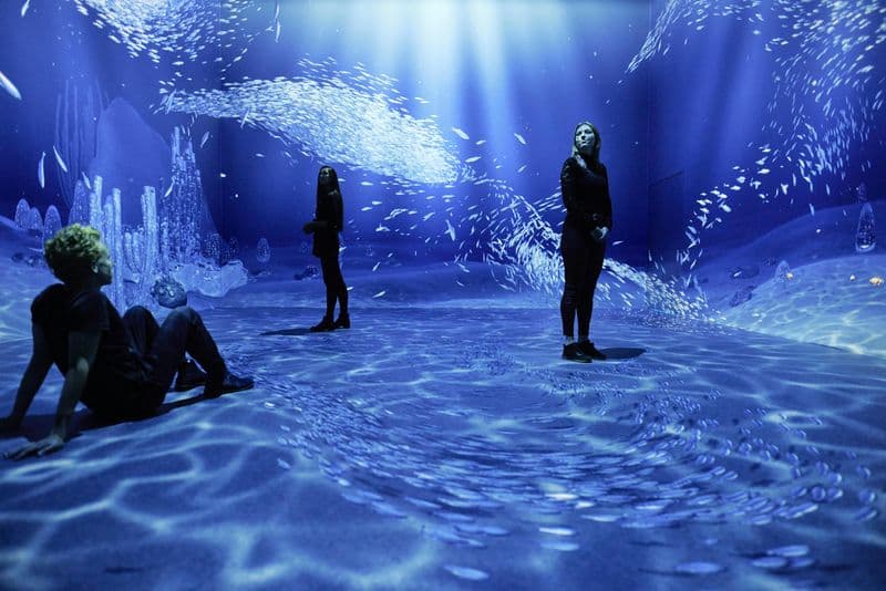 Billet REMASTERED + Pancake Boat Rotterdam