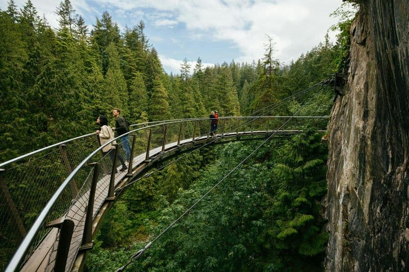 Billet Parc du pont suspendu de Capilano : Billet d'entrée