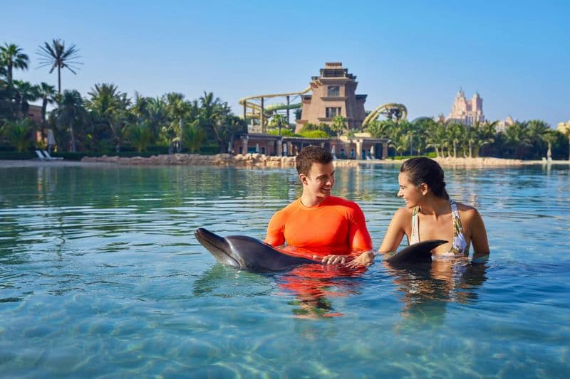 Billet Le monde de l'aquaventure : Pass journée parc aquatique + L'expérience des dauphins