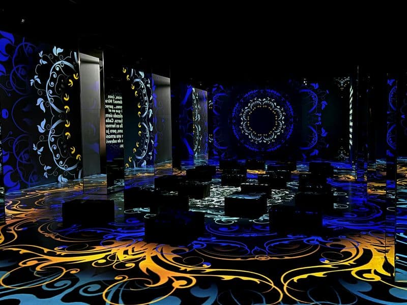 Billet Nomad Musée immersif : Billet d'entrée