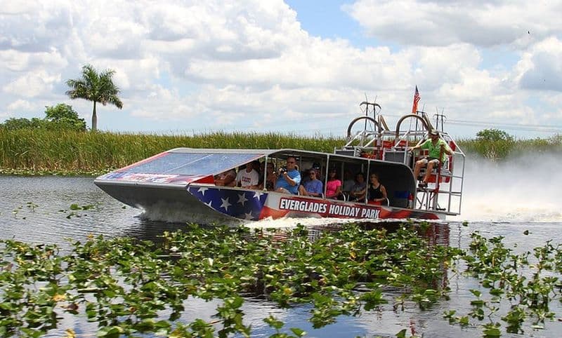 Billet Miami : Excursion d'une demi-journée au parc des Everglades + transport