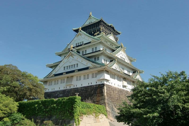Billet Musée du château d'Osaka : Billet d'entrée