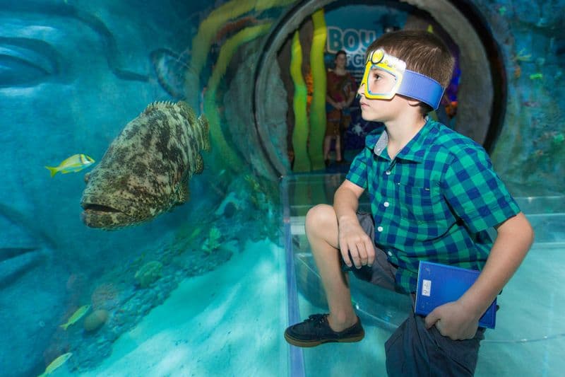 Billet ICON Park : L'œil d'Orlando + Madame Tussauds + l'aquarium SEA LIFE