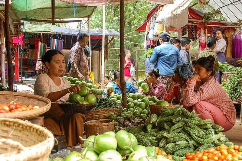 Billet Demi-journée en couleur locale à Bagan