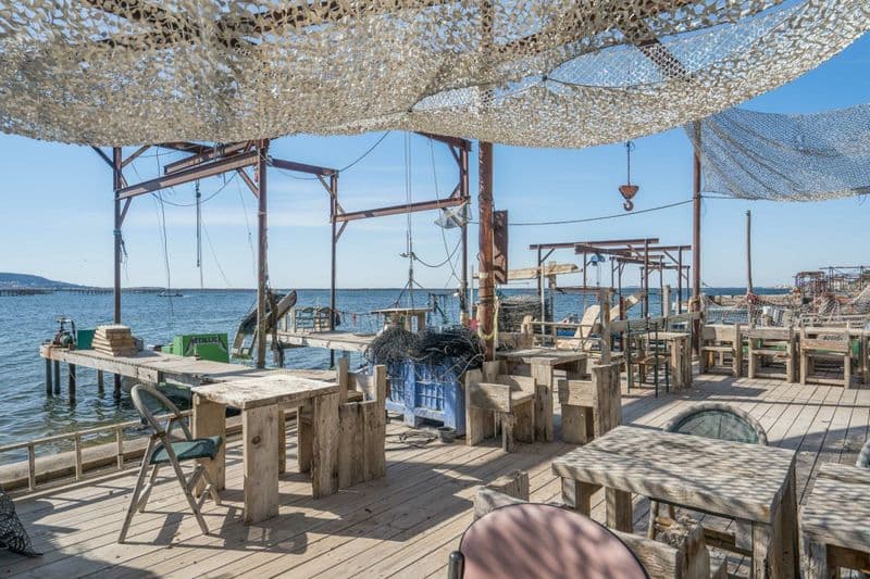 Billet Découvrez une exploitation ostreïcole et dégustation