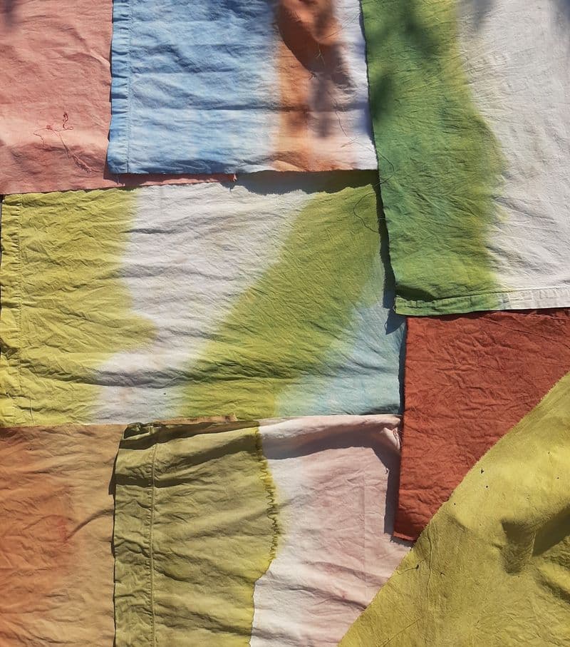 Billet Initiez-vous à la teinture végétale