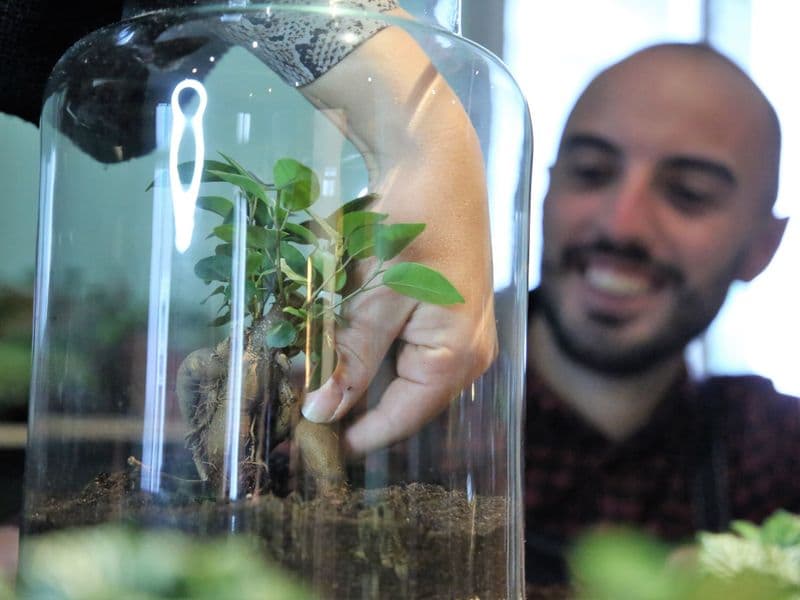 Billet Atelier - Créez votre petit terrarium en équipe