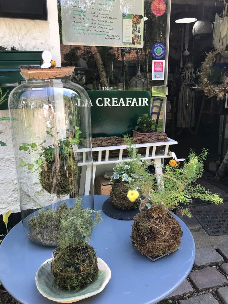Billet Atelier - Créez vos deux terrariums en duo avec votre enfant