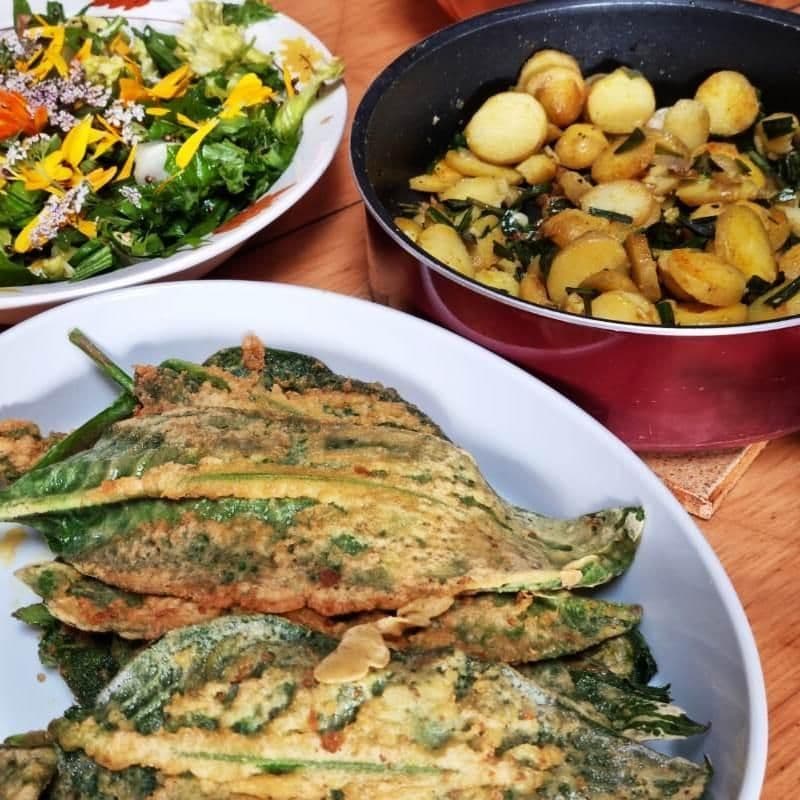 Billet Cuisinez un repas complet à base de plantes sauvages