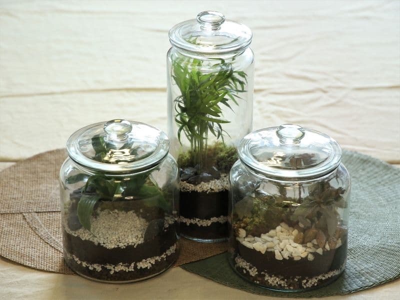 Billet Atelier - Créez vos terrariums en équipe