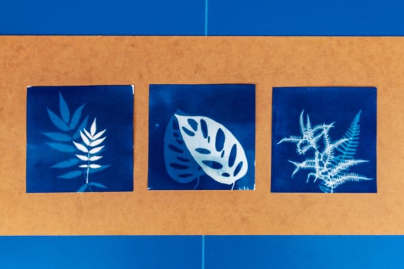 Billet Initiez-vous au cyanotype