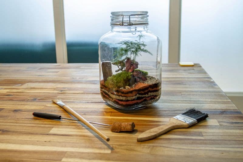 Billet Composez votre terrarium
