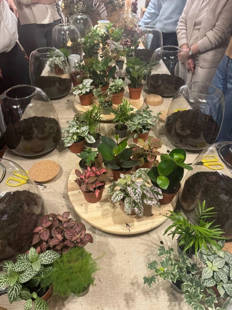 Billet Créez votre terrarium en famille