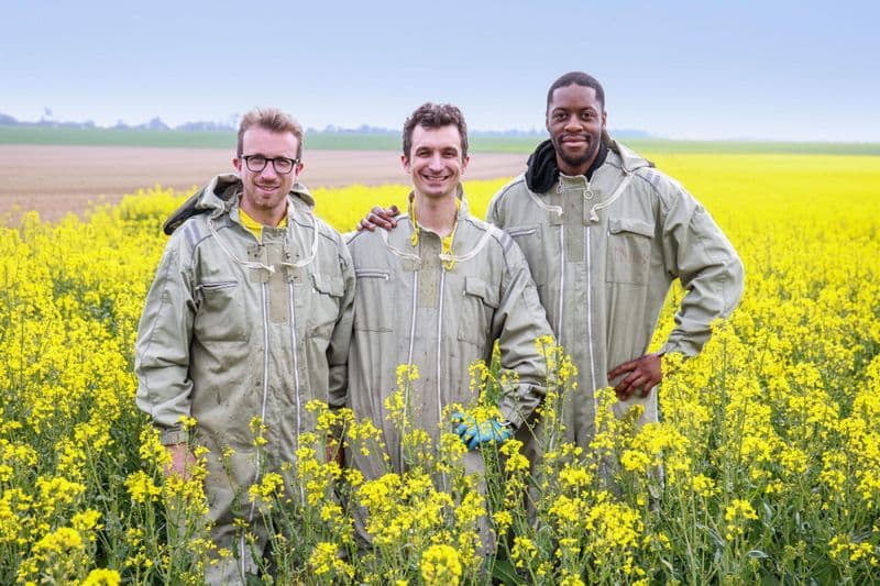 Billet Initiez-vous à l'apiculture