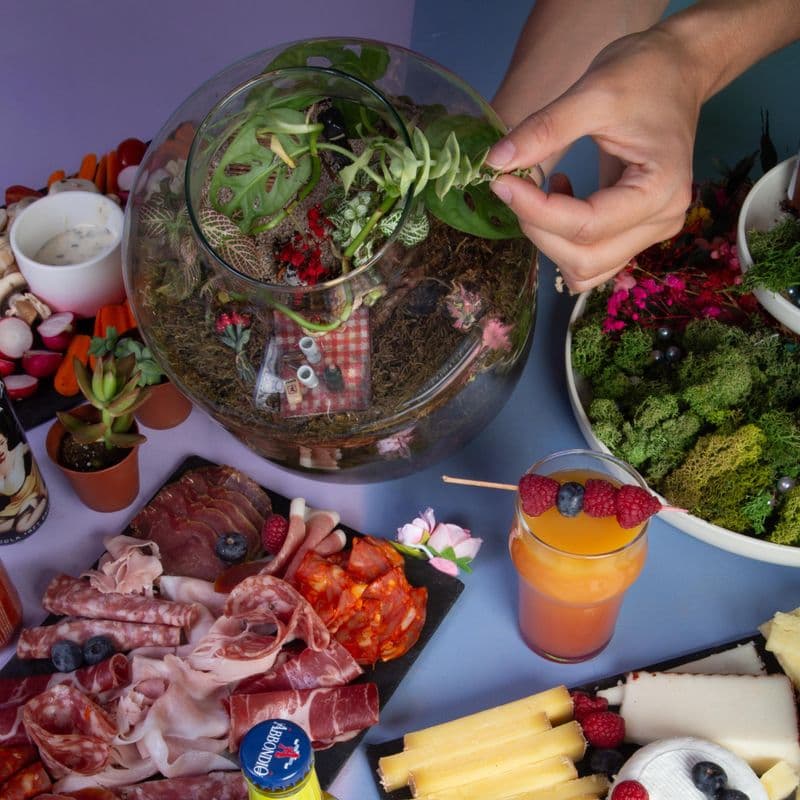 Billet Créez votre terrarium autour d'un apéro