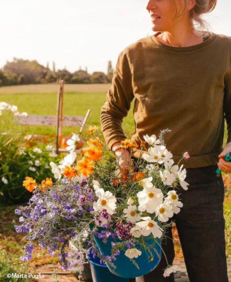 Billet Récoltez et composez votre bouquet