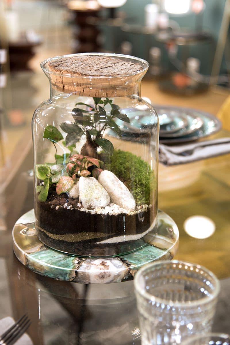 Billet Atelier - Réalisez un terrarium