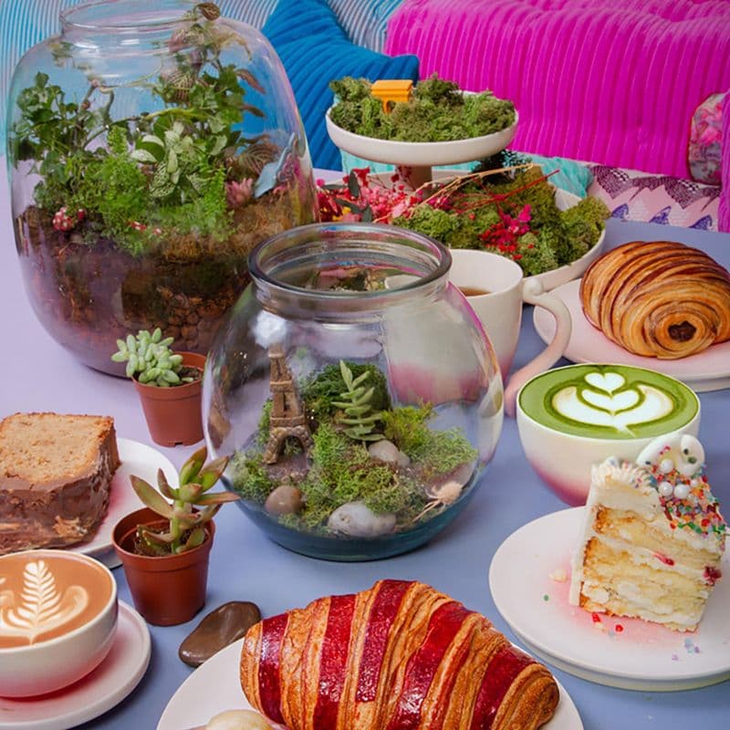 Billet Créez votre terrarium autour d'un café