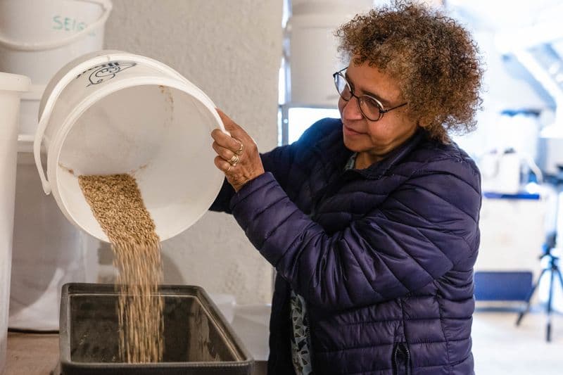 Billet Atelier - Brassez votre bière en groupe