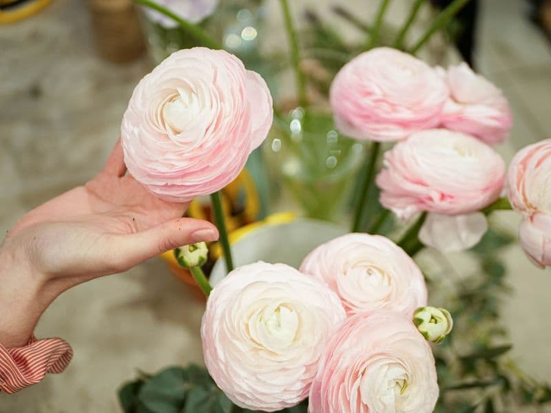 Billet Atelier - Créez votre bouquet de fleurs fraîches