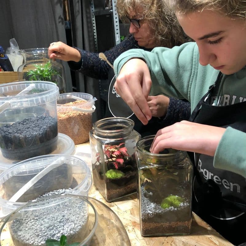 Billet Créez vos terrariums avec votre enfant