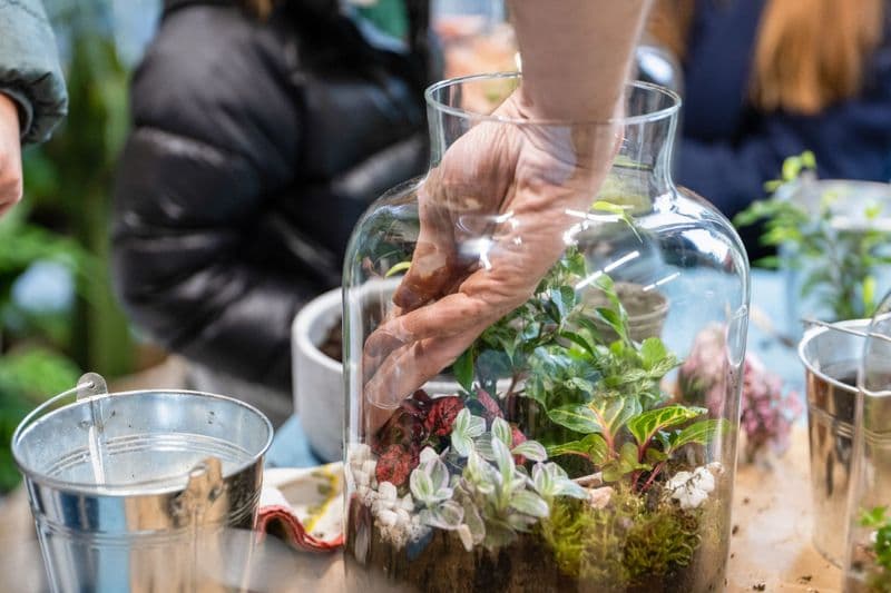 Billet Composez vos terrariums en équipe
