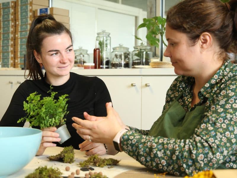 Billet Atelier - Créez vos kokédamas en équipe