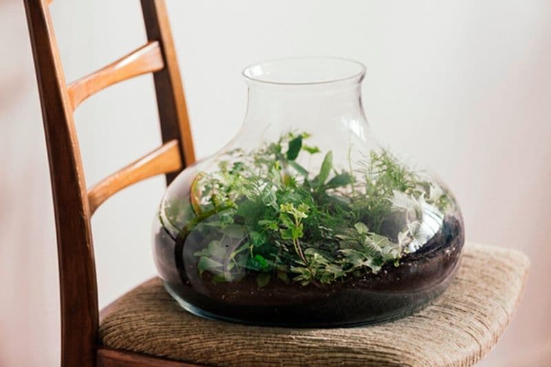 Billet Composez votre terrarium de taille L