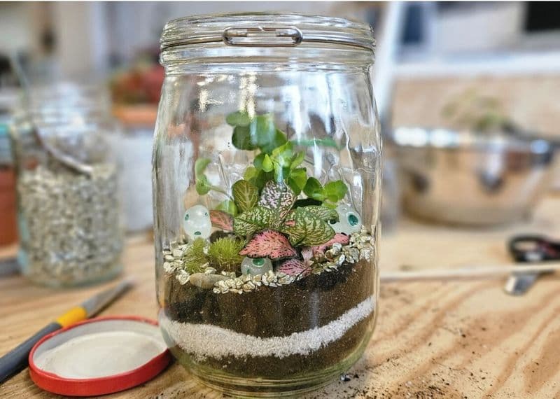 Billet Composez votre terrarium en duo avec votre enfant