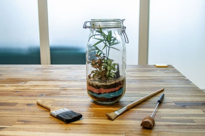 Billet Composez votre petit terrarium
