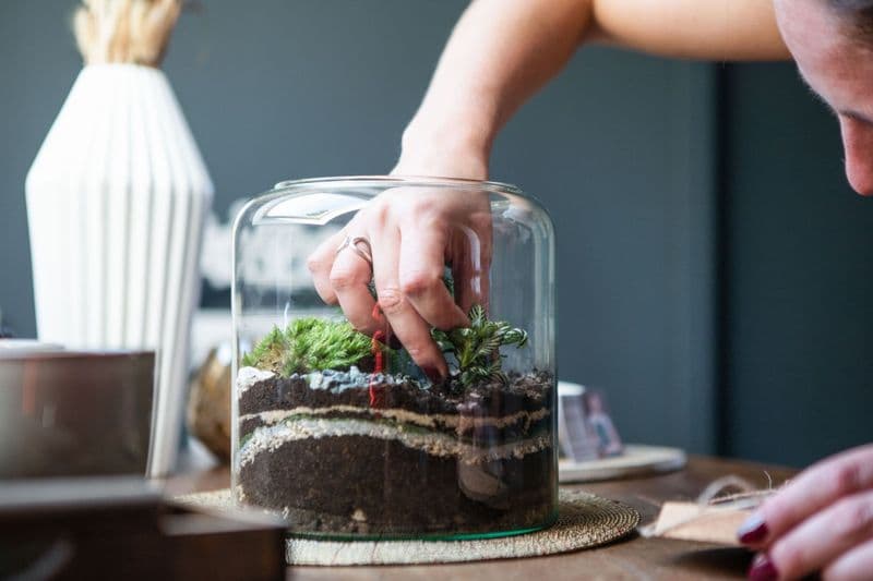 Billet Atelier - Composez votre terrarium avec votre petit prodige