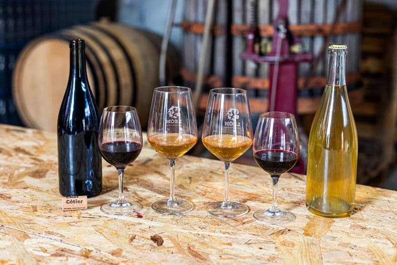 Billet Visitez un chai urbain et dégustez des vins locaux