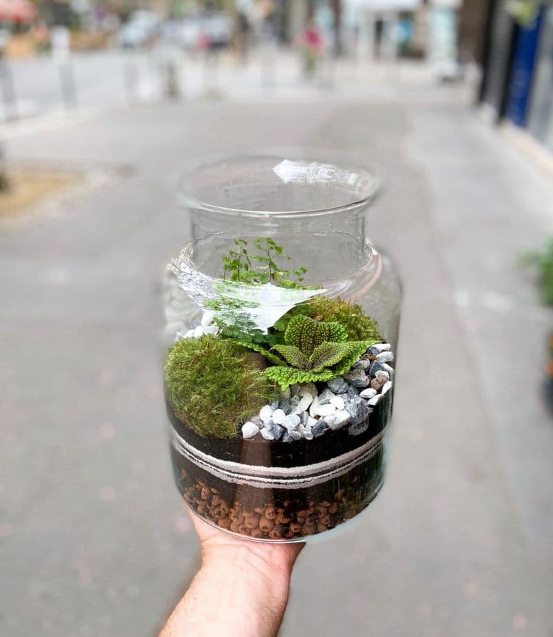 Billet Créez et composez votre terrarium (taille L)