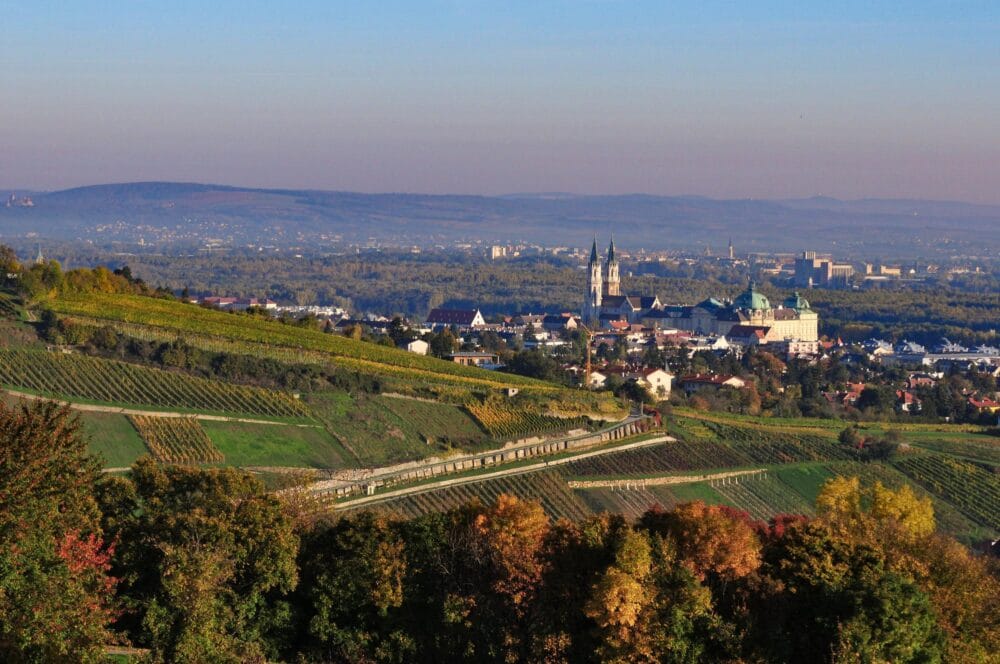 Vignoble prèsque de Klosterneuburg