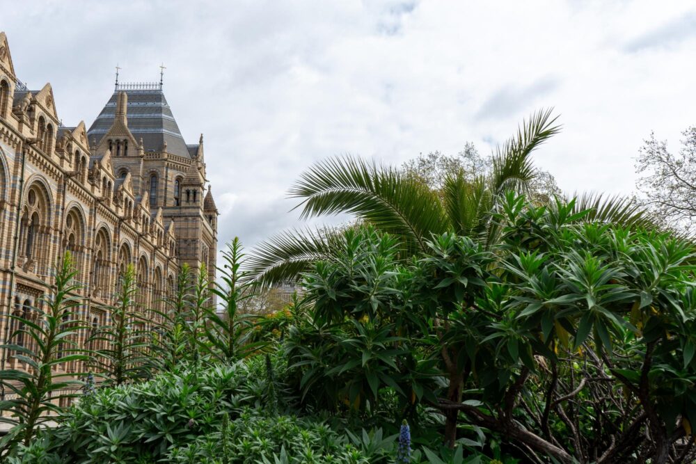 Jardin Musée d’histoire naturelle de Londres