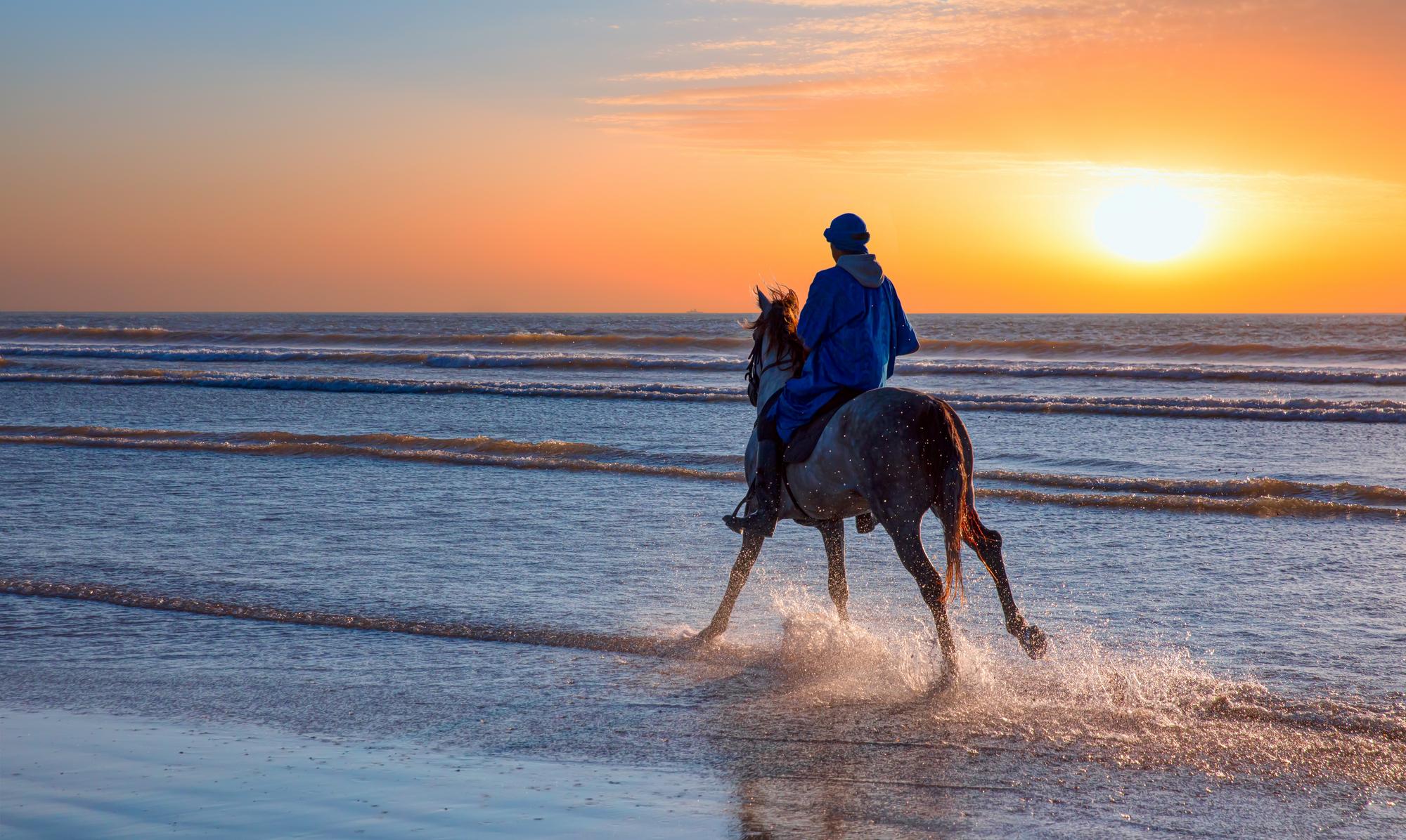 Les meilleures balades à cheval à Agadir
