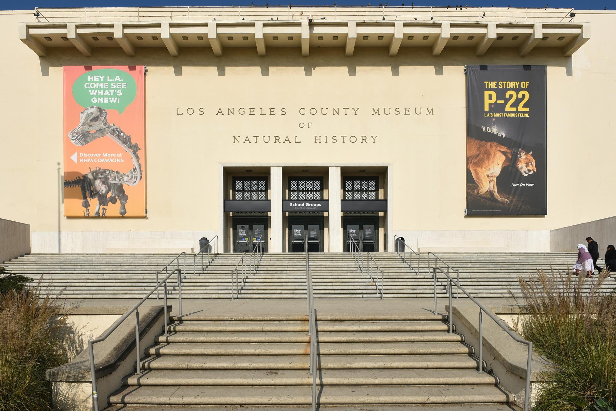 Musée d&rsquo;histoire naturelle de Los Angeles