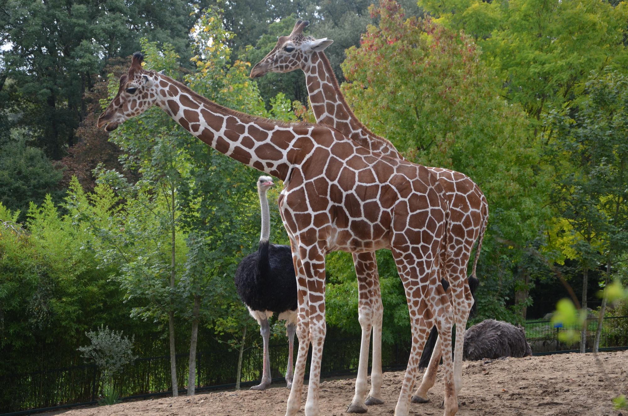 Parc animalier de La Barben
