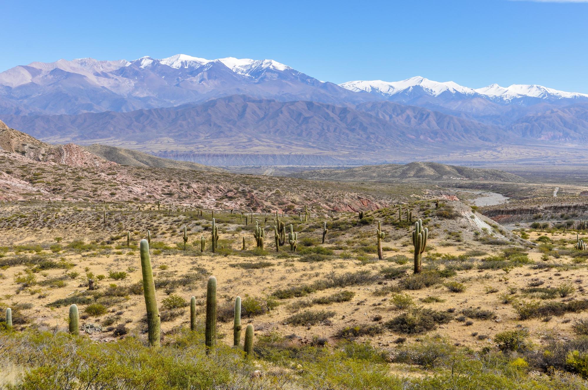 Parc national Los Cardones