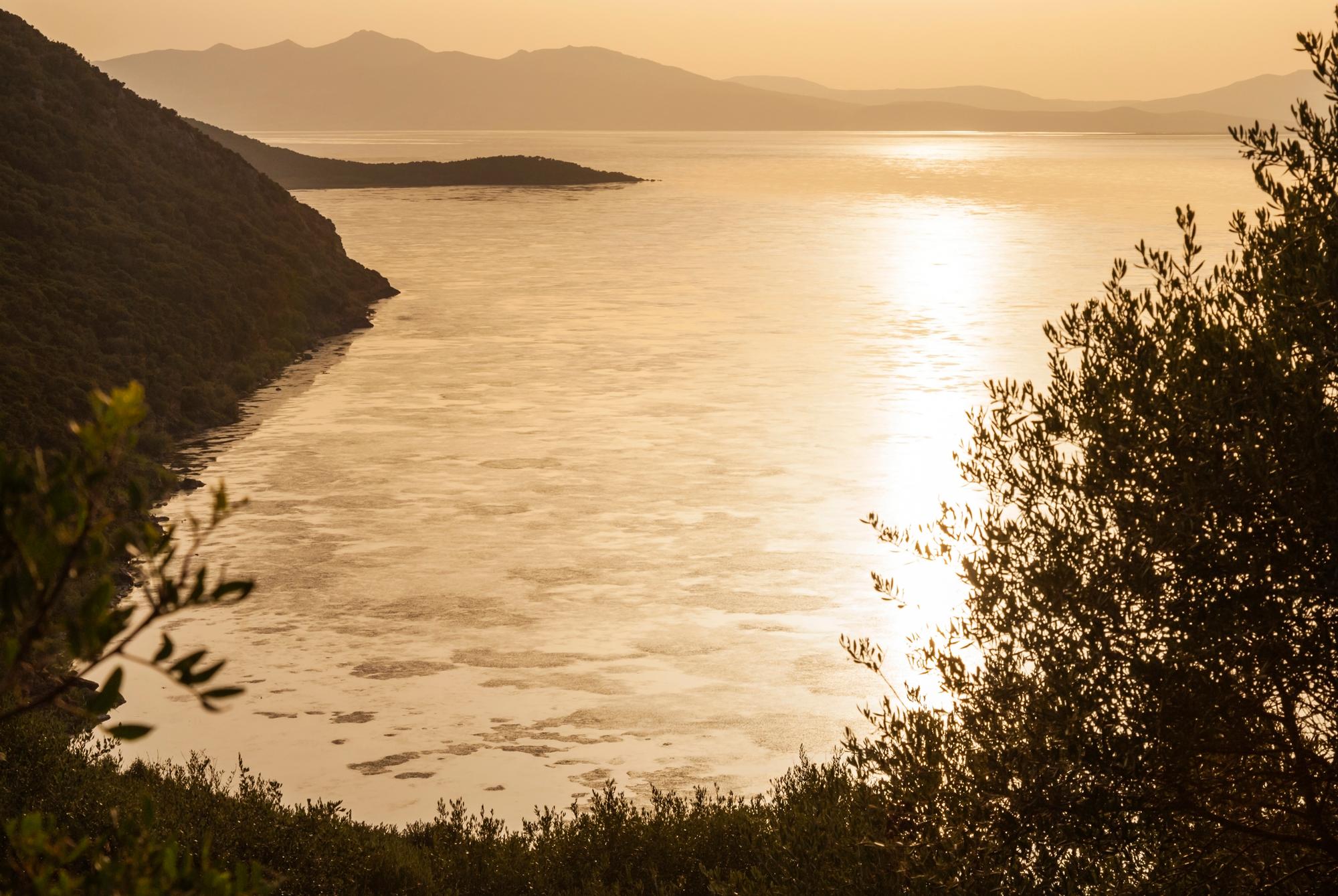 Parc national de l&rsquo;Ichkeul