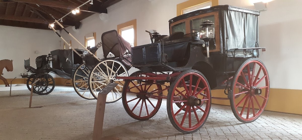 Haras d&rsquo;Alter do Chão