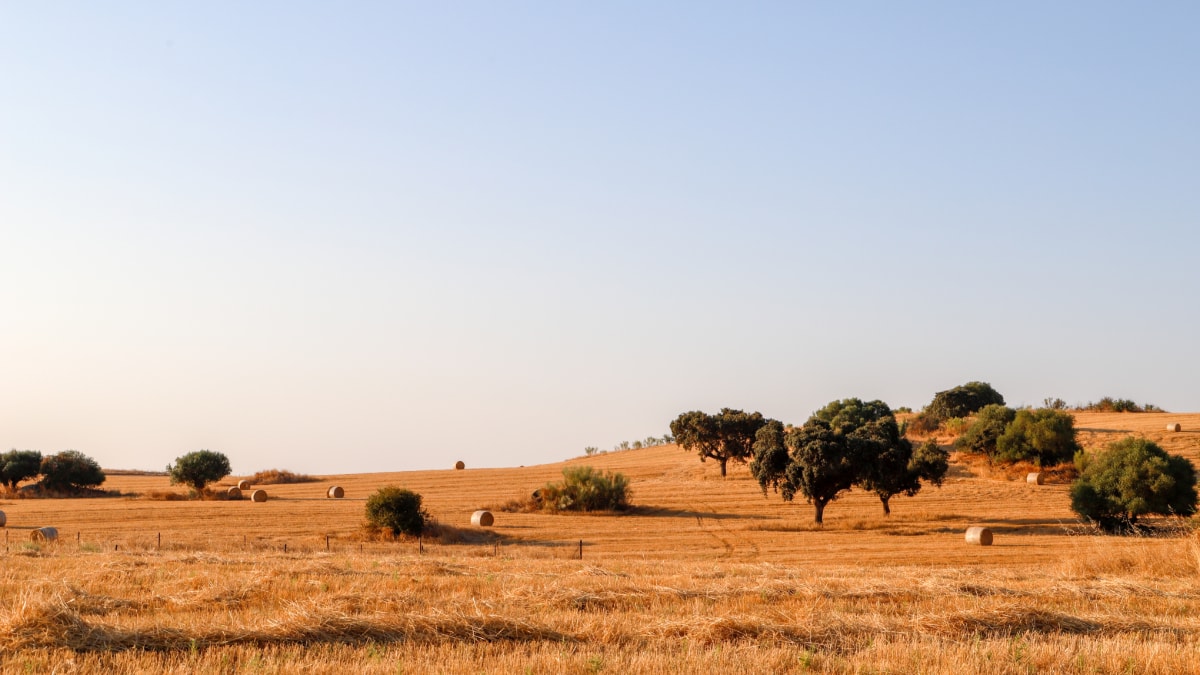 Alentejo