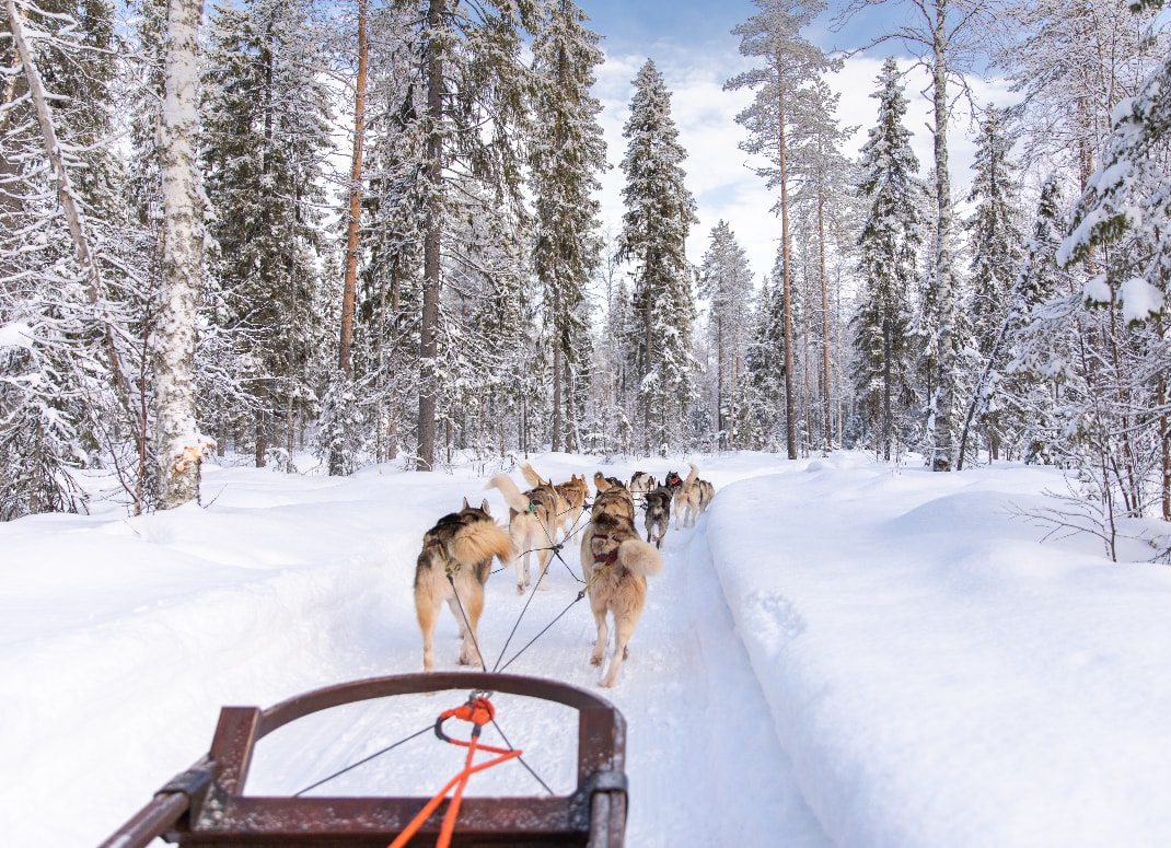 Les meilleures excursions en traîneau en Suède