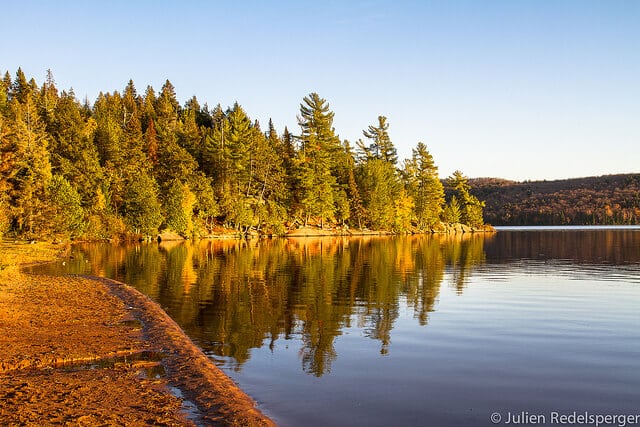 Parc Provincial Algonquin