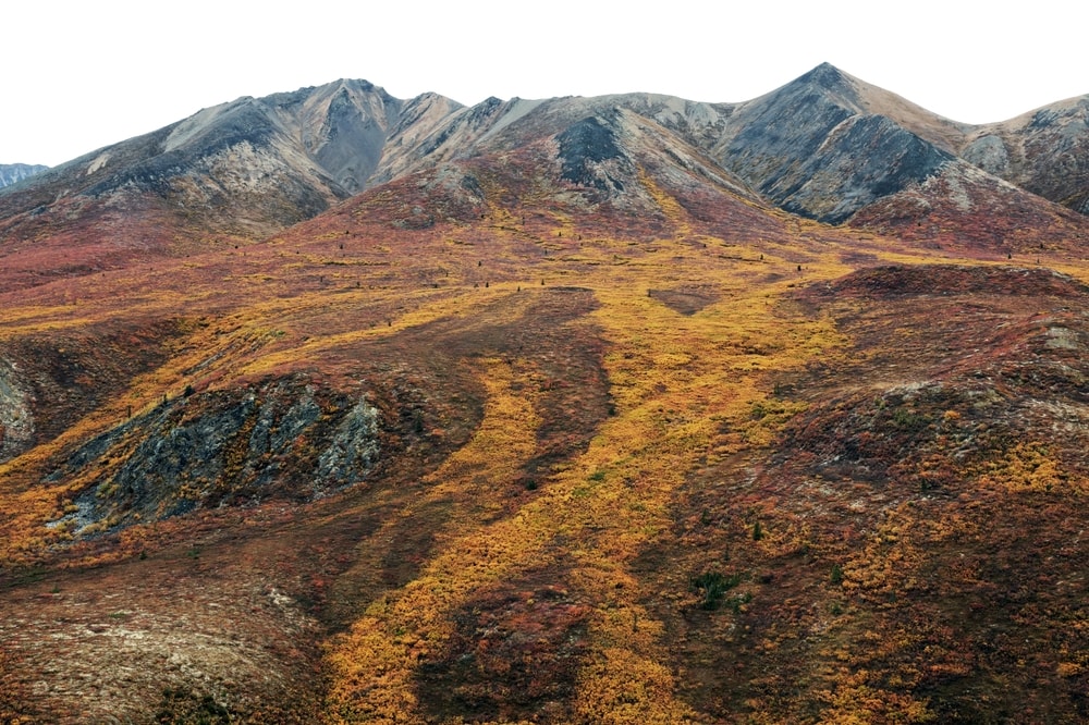 Parc territorial de Tombstone