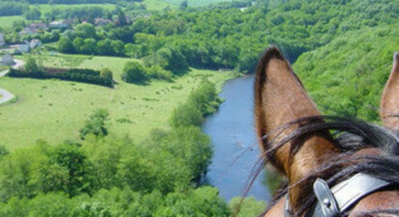 Billet Séjour randonnée équestre près d'Auxerre